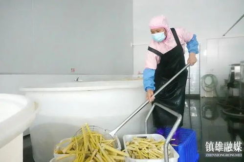 乡镇动态 碗厂镇发展竹产业让绿水青山变成群众增收致富的金山银山